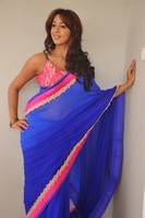 Sanjana Spicy Saree Photos